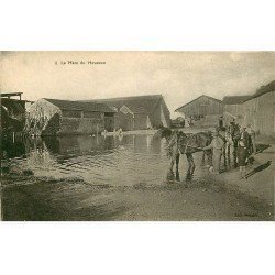 carte postale ancienne 78 MARE DU MOUCEAU. Chevaux s'abreuvant