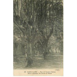 carte postale ancienne 78 MARLY-LE-ROI. Arbres du Chemin de Ronde au Parc 1919