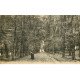 carte postale ancienne 78 MARLY-LE-ROI. Allée de la Grande Source avec promeneuse