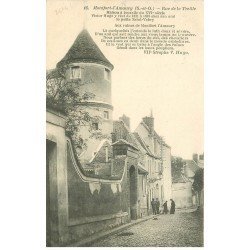 carte postale ancienne 78 MONTFORT-L'AMAURY. Rue de la Treille animation