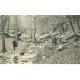 78 VALLEE CHEVREUSE. Rivière des Vaux de Cernay animation