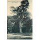 carte postale ancienne 78 SAINT-NOM-LA-BRETECHE. Chêne de Joyenval 1941