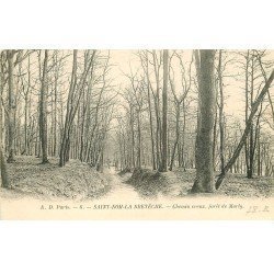 carte postale ancienne 78 SAINT-NOM-LA-BRETECHE. Chemin creux Forêt de Marly