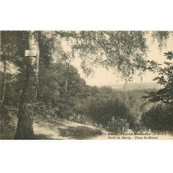 carte postale ancienne 78 SAINT-NOM-LA-BRETECHE. Place Saint-Michel Forêt de Marly
