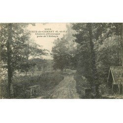 carte postale ancienne 78 VAUX-DE-CERNAY. Abbaye Chemin 1920