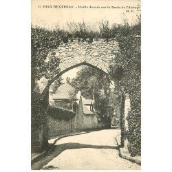 carte postale ancienne 78 VAUX-DE-CERNAY. Abbaye Arcade sur Route