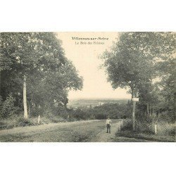 carte postale ancienne 78 VILLENNES-SUR-SEINE. Gamin au Bois des Falaises