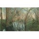 carte postale ancienne 78 VERNOUILLET. La Lône près de Mallard 1904