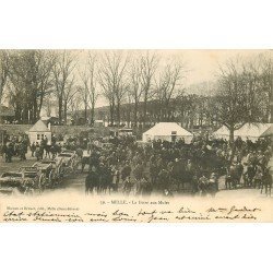 79 MELLE. La Foire aux Mules 1904