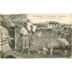 17 ILE D'OLERON. Type du Pays et son Cochon. Métiers de la Ferme