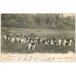 14 FONTAINE-HENRY. La Meute de Chiens pour la Chasse à courre. 1903