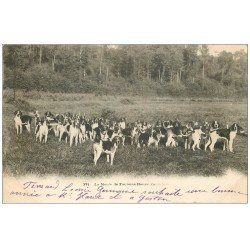 carte postale ancienne 14 FONTAINE-HENRY. La Meute de Chiens pour la Chasse à courre. 1903