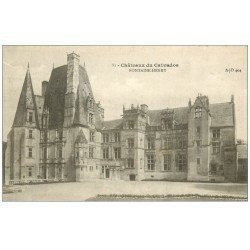 carte postale ancienne 14 FONTAINE-HENRY. Le Château 81