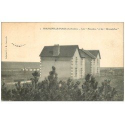 carte postale ancienne 14 FRANCEVILLE. Les Mouettes et les Hirondelles