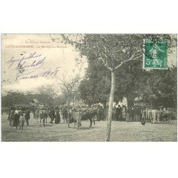 82 LAVIT-DE-LOMAGNE. Le Marché aux Bestiaux 1908. Maquignons et Vaches