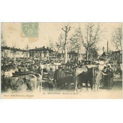 carte postale ancienne 82 MONTAUBAN. Le Marché aux Boeufs 1906