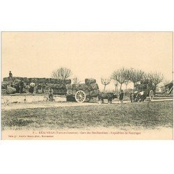 82 REALVILLE. Gare des Marchandises expédition de Fourrages. Attelages de Boeufs et Wagons