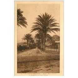 carte postale ancienne 83 HYERES LES PALMIERS. Avenue Alexis Godillot