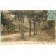 carte postale ancienne 83 HYERES. Avenue de la Gare et Allée de Palmiers 1910