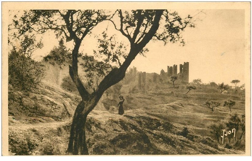 carte postale ancienne 83 HYERES. Vieux Château à travers les Oliviers 1947