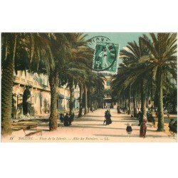 carte postale ancienne 83 TOULON. Allée des Palmiers 1913