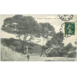 carte postale ancienne 83 TOULON. Cap Brun les Pins de Port Méjean 1907