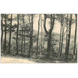 carte postale ancienne 14 HOULGATE. Bois de Boulogne 1912