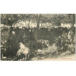 carte postale ancienne 86 CHATELLERAULT. Champ de Foire Marché aux Cochons et Porcs 1912