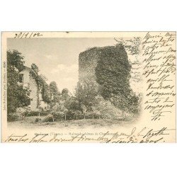 carte postale ancienne 86 QUEAUX. Ruines du Château de Chamouneau 1902