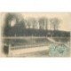 carte postale ancienne 87 BELLAC. La Promenade 1906 personnage avec échelle pour arroser un pot