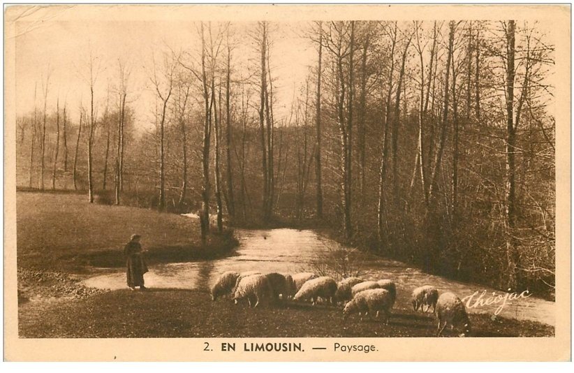 carte postale ancienne 87 LE LIMOUSIN. Paysage Bergère et troupeau de Moutons 1955