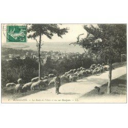 carte postale ancienne 14 HOULGATE. Troupeau de Moutons Route de Villers