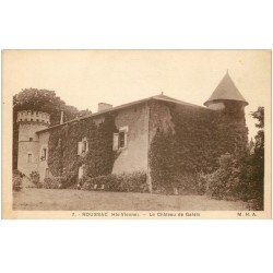 carte postale ancienne 87 ROUSSAC. Château de Galeix