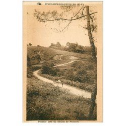 carte postale ancienne 87 SAINT SULPICE LES FEUILLES. Attelage de Boeufs près du Moulin de Peupiton 1946