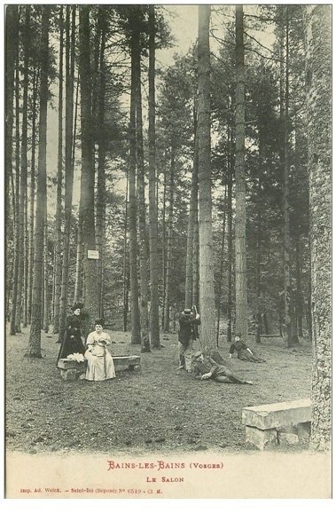 88 BAINS-LES-BAINS. Le Salon dans la Forêt, superbe animation et impeccable