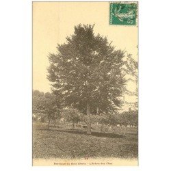 carte postale ancienne 88 BASILIQUE DU BOIS CHENU. Arbre des Fées 1914
