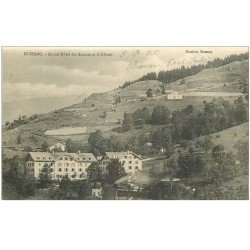 carte postale ancienne 88 BUSSANG. Grand Hôtel des Sources et le Charat 1905