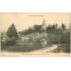 carte postale ancienne 88 CHATENOIS. Route de Neufchäteau avec Jardinière 1906