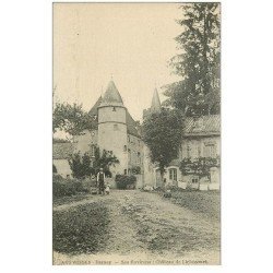 carte postale ancienne 88 DARNEY. Château de Lichecourt animé