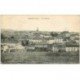 carte postale ancienne 88 DARNEY. La Ville. Fine plissure