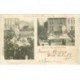carte postale ancienne 88 EPINAL. Les Touristes. Cavalcade de Bienfaisance Char de la Société des Fêtes 1902