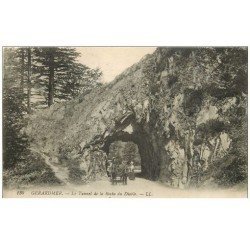 carte postale ancienne 88 GERARDMER. Attelage au Tunnel de la Roche du Diable