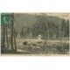 carte postale ancienne 88 GERARDMER. Personnage bord du Lac les Rochottes 1910