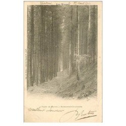 carte postale ancienne 88 KICHOMPRE GERARDMER. Forêt de Sapins 1903