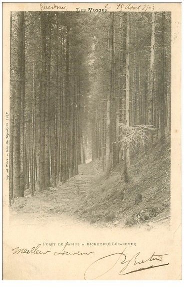 carte postale ancienne 88 KICHOMPRE GERARDMER. Forêt de Sapins 1903