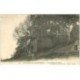 carte postale ancienne 88 LA FEUILLEE DOROTHEE. Le Val d'Ajol Hôtel et Gamin assis 1906