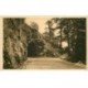 carte postale ancienne 88 LA ROCHE DU DIABLE 1939 animation