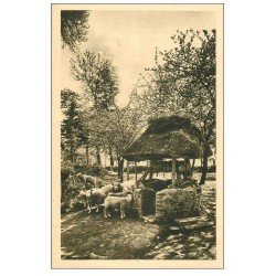 carte postale ancienne 14 LA SUISSE NORMANDE. Le Vieux Puits avec Troupeau de Moutons