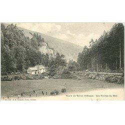 carte postale ancienne 88 LE BALLON D'ALSACE. Les Roches du Cerf 1905