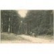 carte postale ancienne 88 LES COLS DES VOSGES. Le Col du Chipal entre Fraize et La Croix aux Mines 1915
